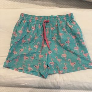 Men’s flamingo Chubbies swimsuit